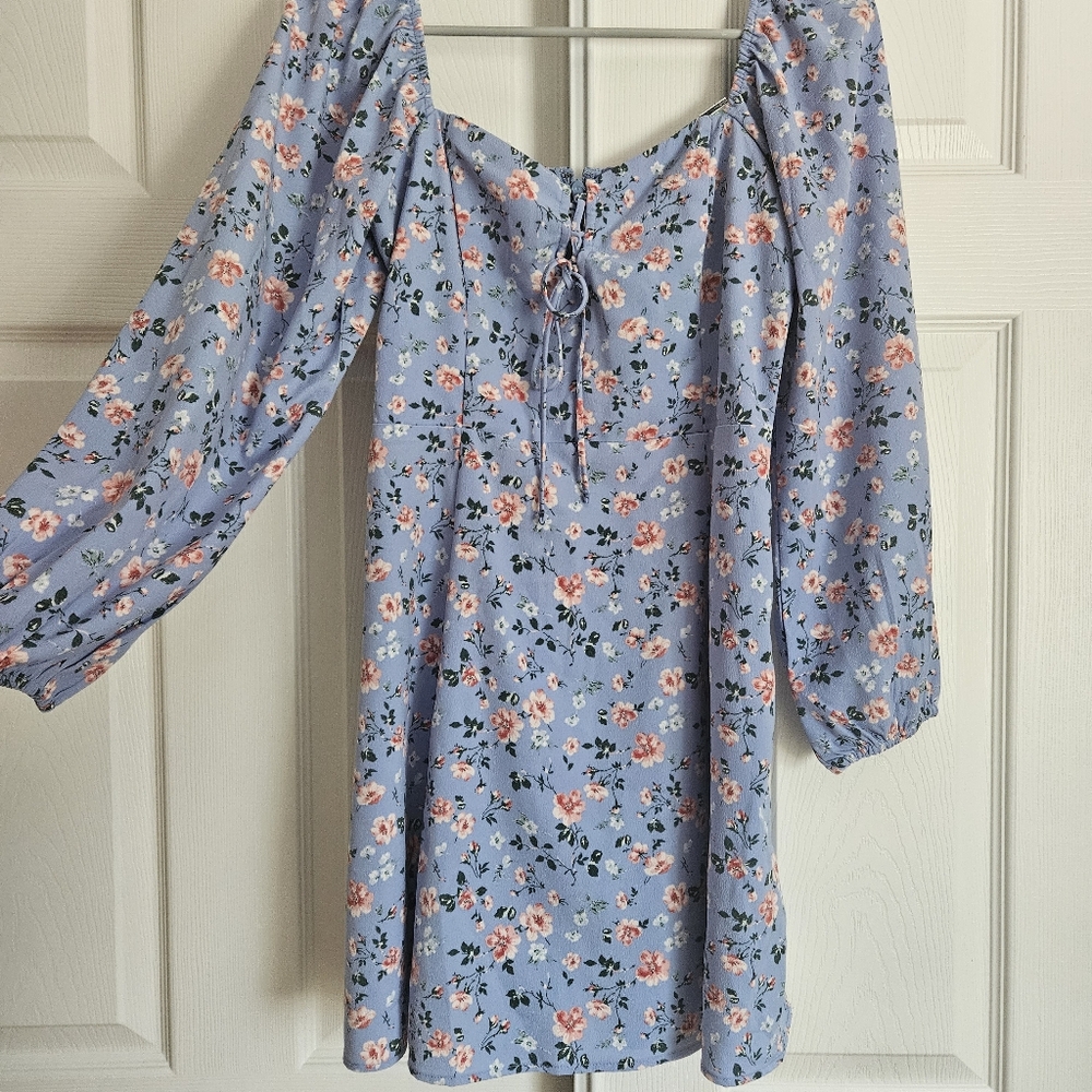 Abercrombie & Fitch Floral Long Sleeve Dress - Blue and Pink